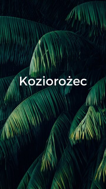 Koziorożec spersonalizowany według pomysłu naszej klientki Małgorzaty 🌴🌿🐐♑️ #koziorożec #bransoletkazkamieni #bransoletkaszczęścia #bransoletkazodiakalna #prezentdlaprzyjaciółki #prezentdlaniej